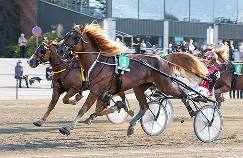 Huisi Hemmo voitti Derby-karsintansa kaksi vuotta sitten.