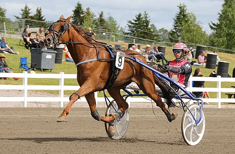 Roseland kirkastaa tänään viime startin hopean kullaksi.