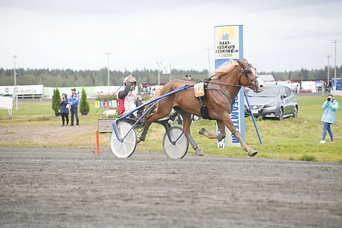 Iikka Nurmosella jäi aikaa tuuletteluun Stallonen rattailla, kun ruuna pyyhälsi 2600 metrin aikaan 25,8ake.