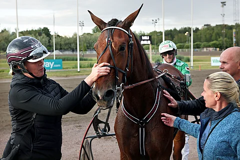 Tämän keskiviikon T65-yllättäjä Mami Chulo jatkaa ison rahan jahtiin Vermon Tammacupiin,
