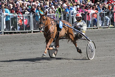 Mokomani ja Jukka-Pekka Kauhanen. Kuva Anu Leppänen.