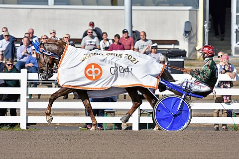 Parvelan Retu venyy hämmästyttävällä tavalla aina tarpeen mukaan.