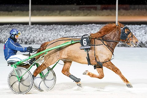 Viime startissaan keulapaikalta loppukaarteessa todennäköisen voittonsa laukannut Tuulian Sälli sai tällä kertaa vahvan vireensä näkymään myös tulosliuskassa.