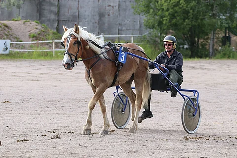Hannu Albrechtin valmentama Larkko palasi voittokantaan pitkän tauon jälkeen. Arkistokuva: Roosa Lindholm