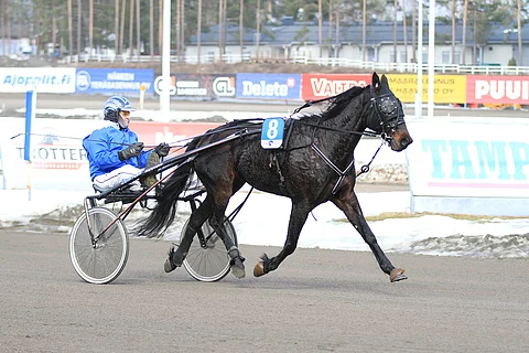 Juha-Pekka Ahonen ja Mr Reddington värittävät Forssan Toto75-kierrosta. Kuva: Roosa Lindholm