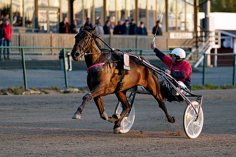 Peter Bonn pääsi tuulettamaan Masterstroke Arian vakuuttavaa ykköstilaa.