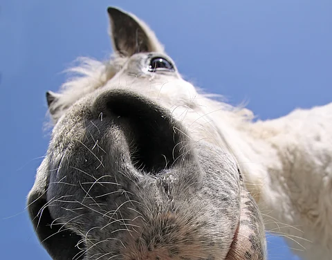 Mitäs täältä löytyy? Kuva: Mostphotos