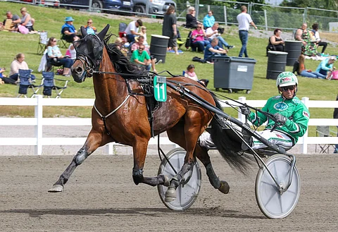 Tammahambossa vuonna 2020 neljänneksi sijoittunut Nutcracker muuttaa Kiikun tallille. Kuva: Anu Leppänen