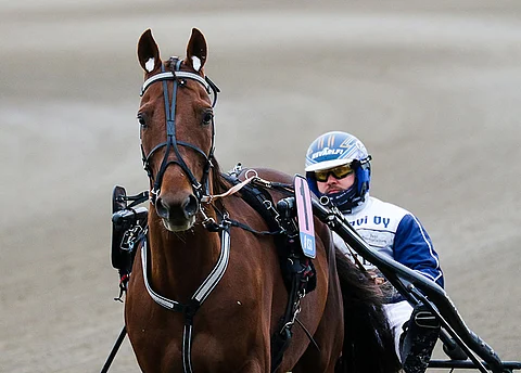 Rebel Rapid on kiinnostava varma Kouvolaan.