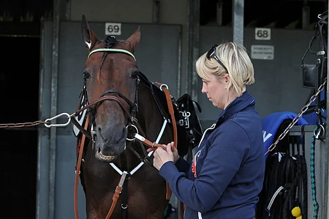 Hanna Pekkala ja Sahara B Boy ovat kulkeneet yhdessä pitkän tien, joka jatkuu vielä kilpauran nyt päätyttyäkin.