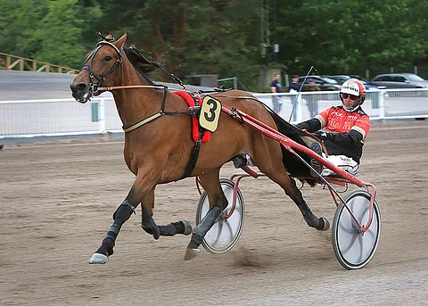 Tapio Perttusen tallin No Limit Star on sopiva ideavarma.
