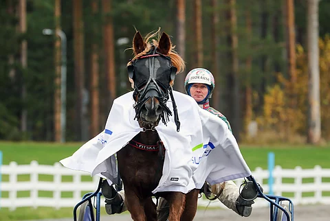 Pitska sai voittoloimen selkäänsä kahdeksannen kerran tänä vuonna.