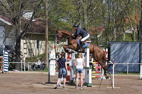 Jukka Rantanen muistaa Artosin rehellisenä symppishevosena, joka teki aina mitä pyydettiin.