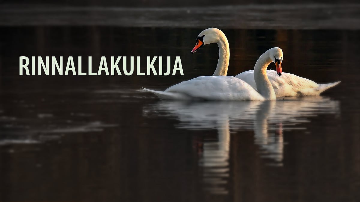 Päihteidenkäyttäjästä auttajaksi - 1/18