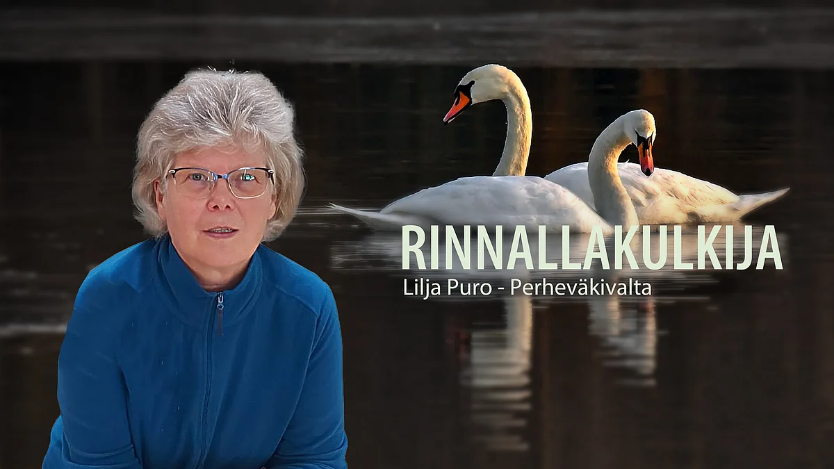 Perheväkivalta - 18/18