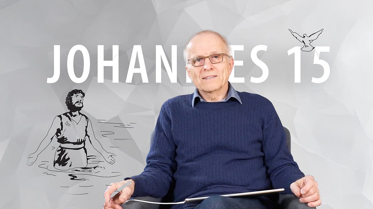 Johannes 15 - 15/20