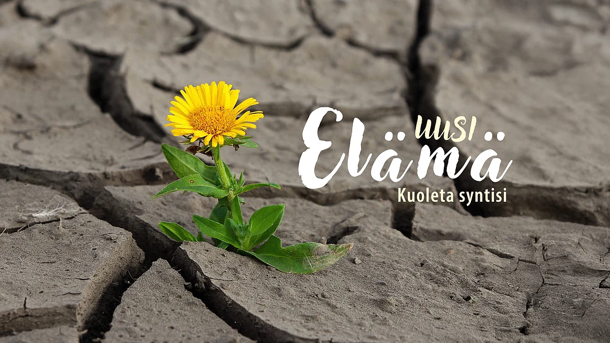 Kuoleta syntisi - 6/9