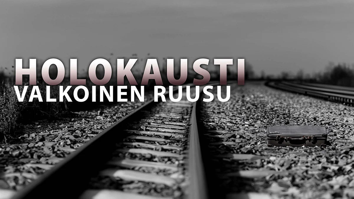 Valkoinen Ruusu - 14/18