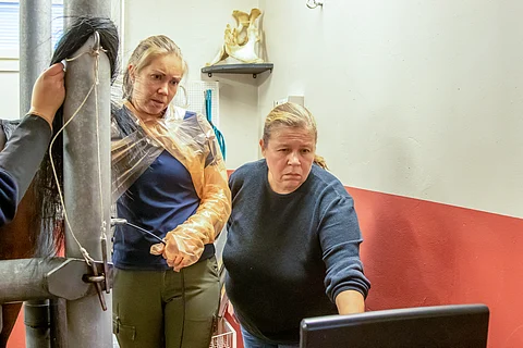 Kristiina Ertola on yksi Tampereen Hevosklinikka Oy:n omistajista ja eläinlääkäreistä.