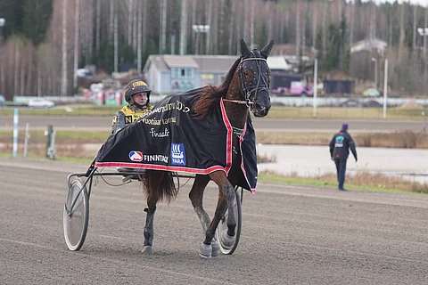 Nothingcomes, Jukka Hakkarainen