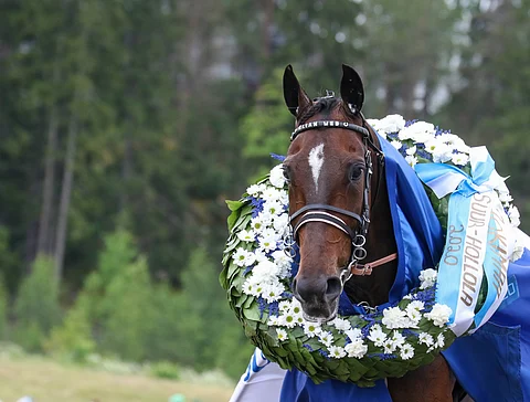 8-vuotiaana Elian Web täydensi Suur-Hollola-värisuoransa voitolla kolmos- ja kakkossijojen jälkeen. 