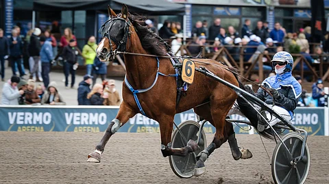 Artful Drop sijoittui Tammaderbyn finaalissa viidenneksi.