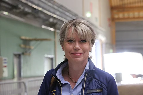 Heli Kivimäki-Manner kommentoi Hippoliksen tilannetta. 