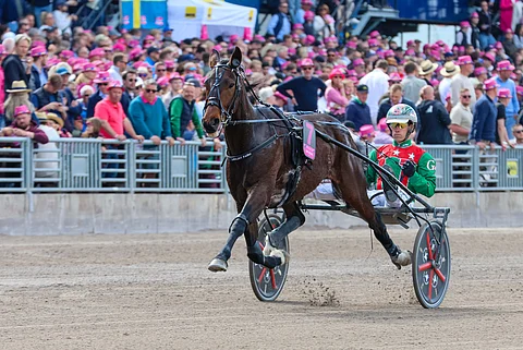 Ravit Australia
