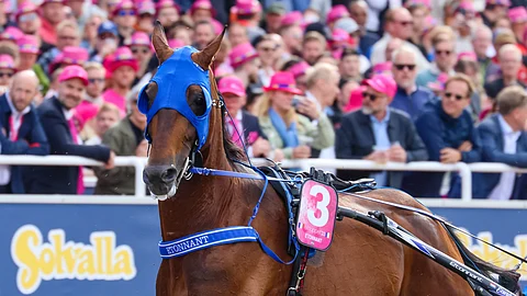 Ravit Ranska