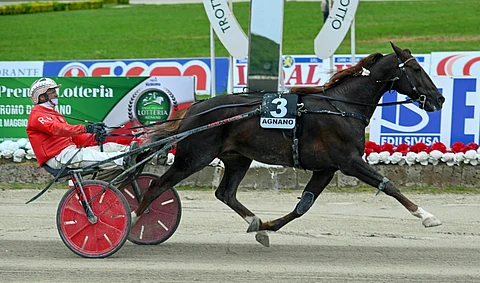 Banderas Bi saapuu värittämään Kymi GP:iä