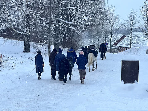Ratsastustunnin mahdollisia vaaranpaikkoja tulee arvioida aiempaa tarkemmin. 