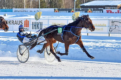Backwood's Brandon on todennäköisenä keulahevosena ideavihjeen varmavalinta.
