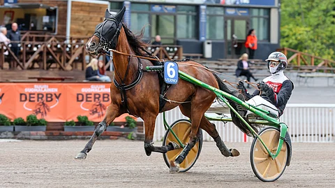 4-vuotiaaksi kääntynyt Sahara Cherie puristi kuolemanpaikalta  voittoon viime startissaan Lahdessa 10,5-lopetuksessa.