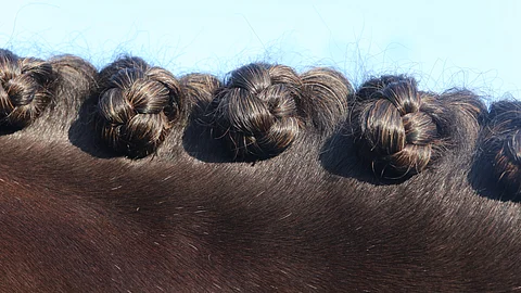 DTT kehitteli matalan kynnyksen kilpailukonseptin joka kelpasi Helsinki Horse Show'hunkin