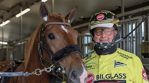 Ravit suomenhevonen