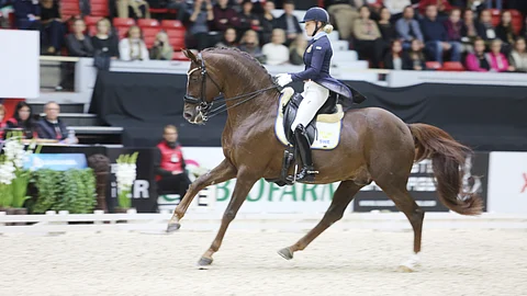 Duendecillo P ja Jeanna Högberg Helsinki Horse Show'ssa vuonna 2015. 