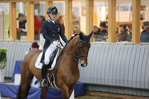 Ville Vaurio haluaa katsoa Danten kanssa Pariisin kortin, niin ei jää ainakaan kaduttamaan. 