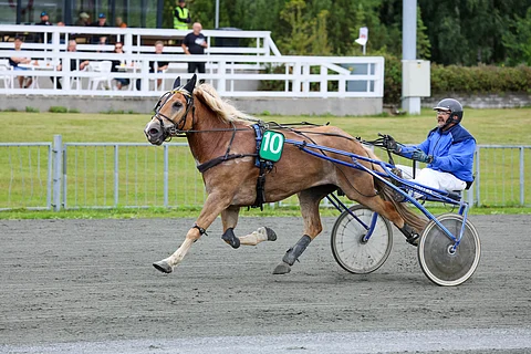 Antti Turusen valmentama Karjalan Keisari on Valjaskulma Cup -finaalin ennakkosuosikki.