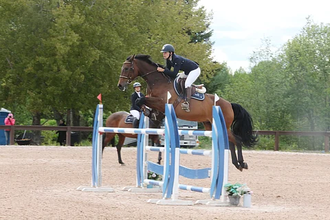 Amatöörisarjan finaalivoitto Sini Saarelle ja l'Aviciille sunnuntaina Stable Novassa. 