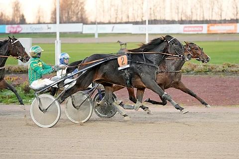 Jukka Torvisen ohjastama Fabiana Hoist on matkalla huipputammojen joukkoon.