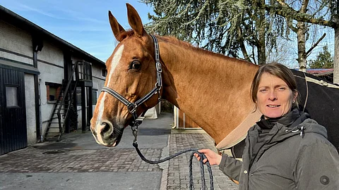 Maailmankansalainen Maiju Mallat vaihtaa maata. E Beliss lähtee mukaan. 
