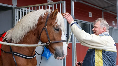 Uskotoivo ja Jukka-Pekka Kauhanen