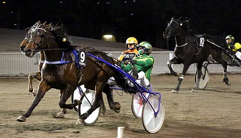 Dollar Combo Jukka Torvinen Vermo