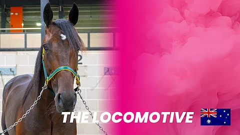 Elitloppet Solvalla