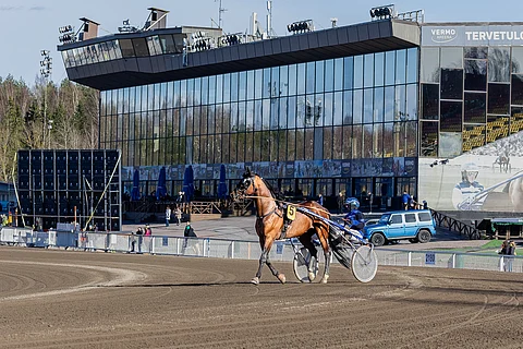 Kuvituskuva Vermo
