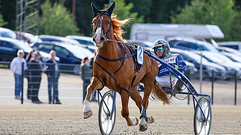 6-vuotias Paavolan Hurmos on ainakin toistaiseksi ollut ikäluokkansa ykkösnimi.