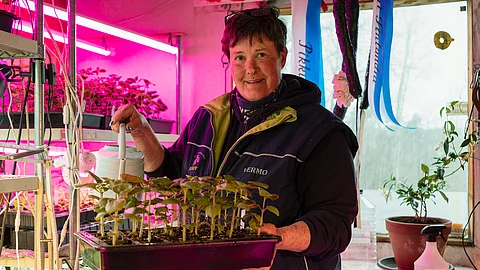Kukkakontissa työpistettään pitävän Kati Korpivaaran käsistä syntyvät kukkivat koristeet niin Vermon ulkoalueille kuin sisäänkirjoitukseen ja studioonkin.