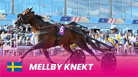 Elitloppet Solvalla