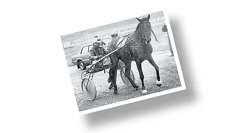 Kuva-arvoitus: tunnistatko kuvan hevosen ja ohjastajan?