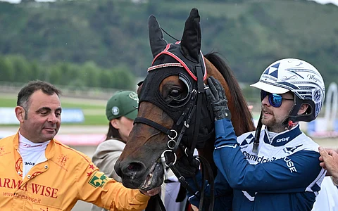 Ravit Italia